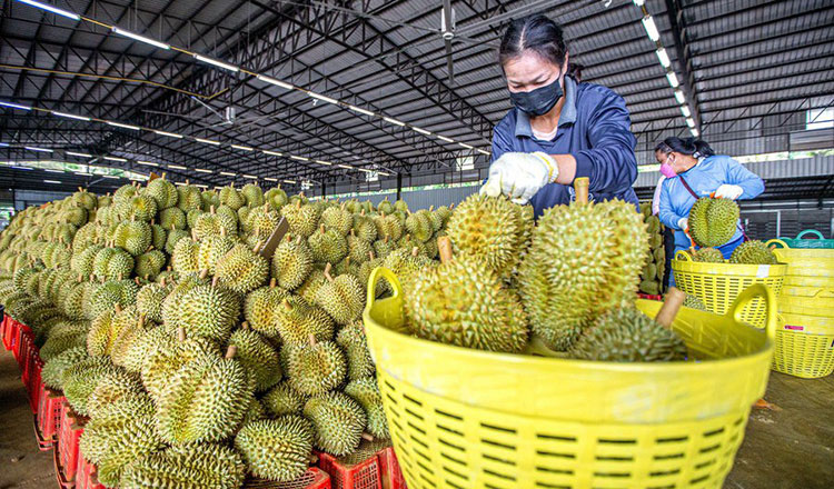 Thai fruit traders face heat over Cambodia’s ban